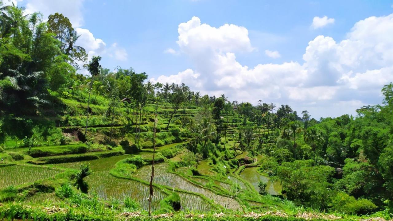 Novia Guest House Lombok-テテバトゥ エクステリア 写真