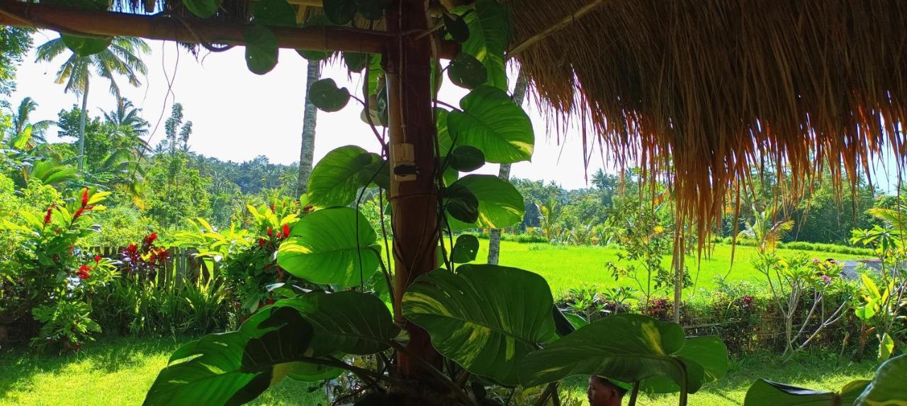 Novia Guest House Lombok-テテバトゥ エクステリア 写真