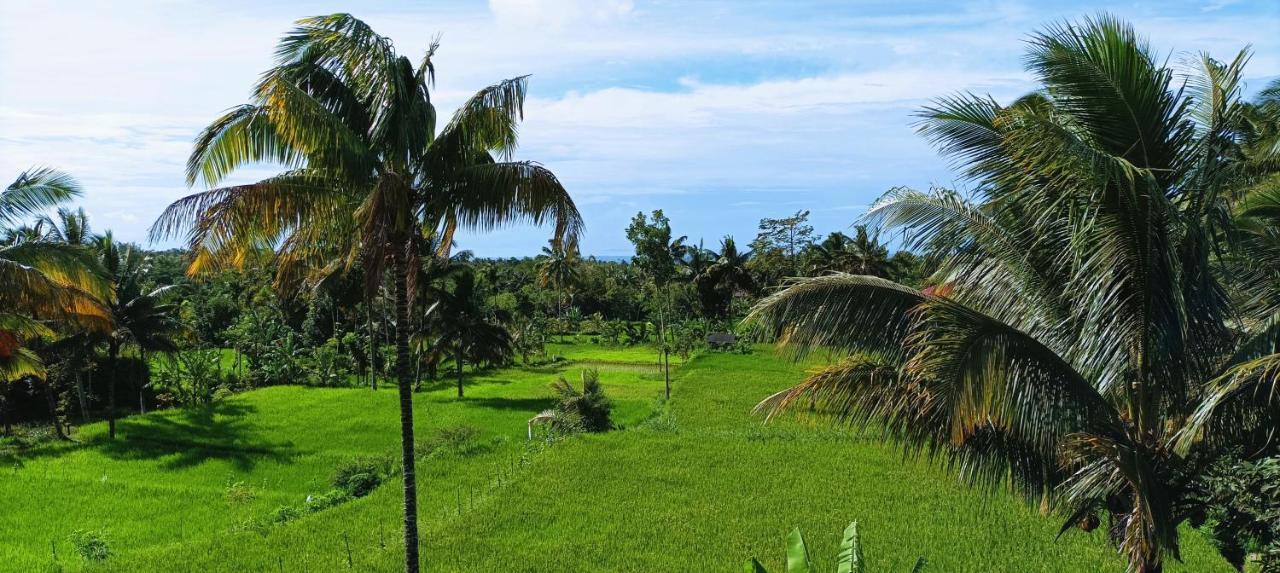 Novia Guest House Lombok-テテバトゥ エクステリア 写真