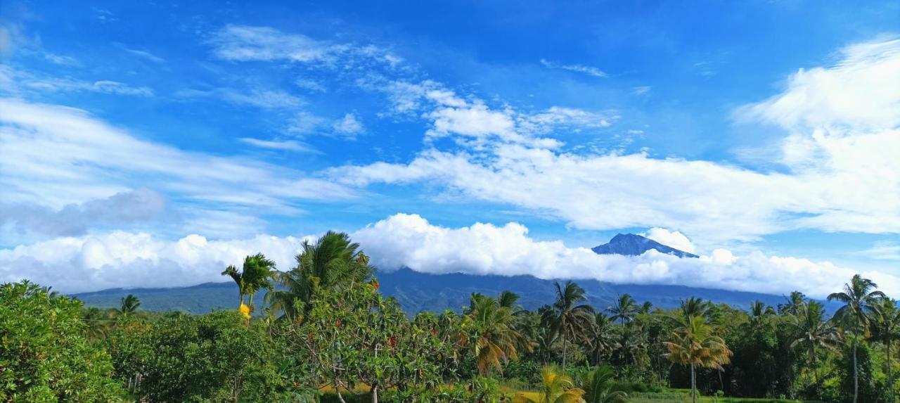 Novia Guest House Lombok-テテバトゥ エクステリア 写真