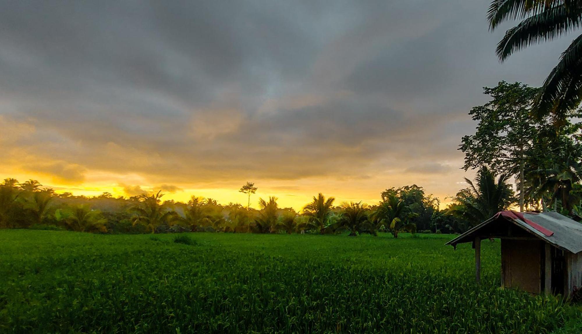 Novia Guest House Lombok-テテバトゥ エクステリア 写真
